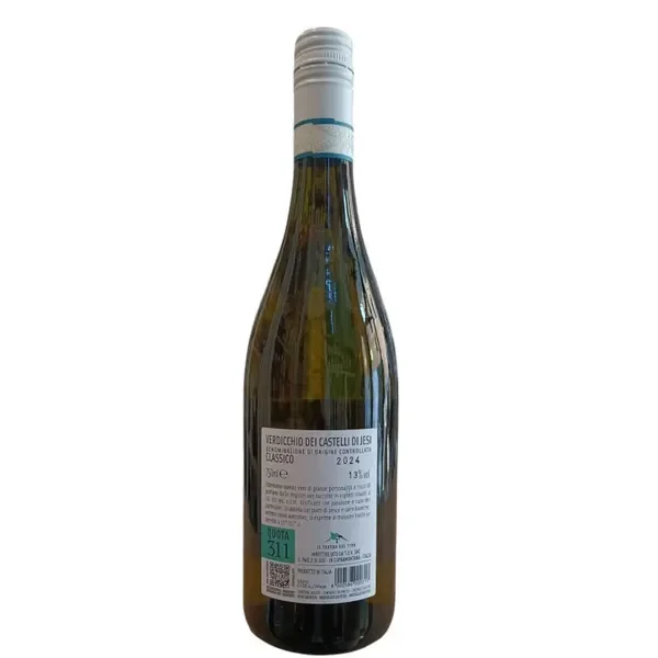 verdicchio-quota-311-pontemagno
