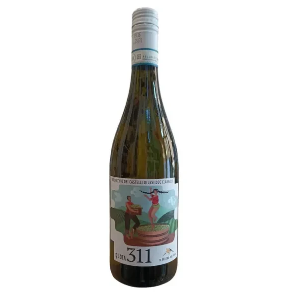 verdicchio-quota-311-pontemagno