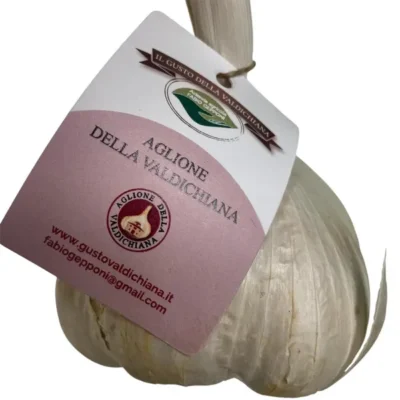 aglione-toscano-valdichiana-azienda-agricola-gepponi-fabio