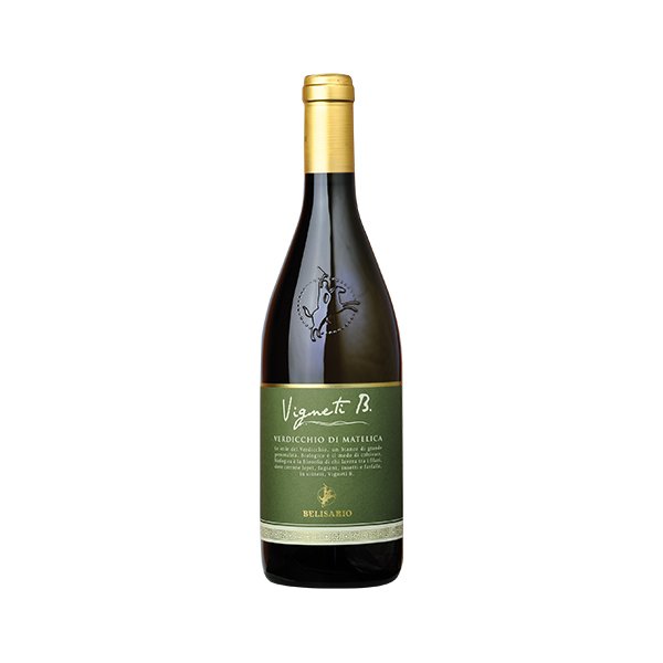 verdicchio-matelica-belisario-bio