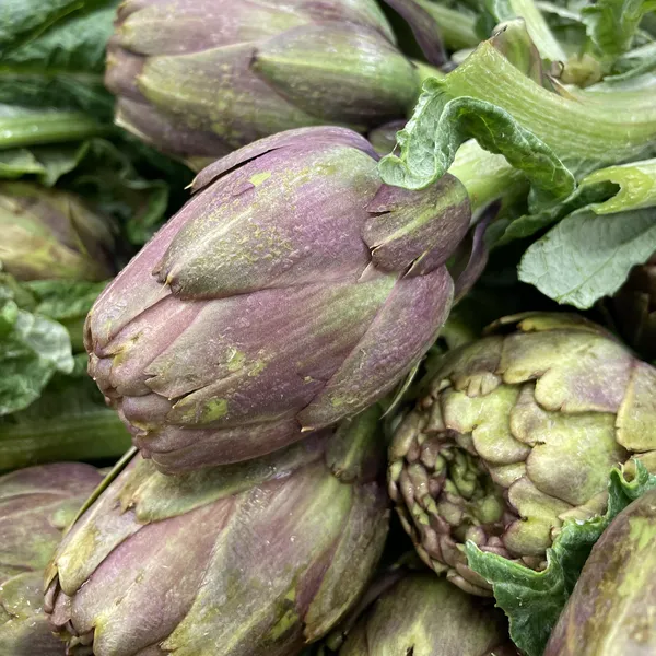 carciofi