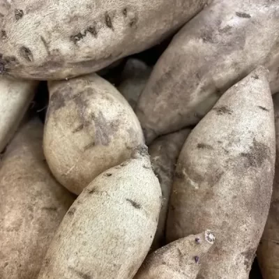 patate-americane-dolci-pasta-bianca