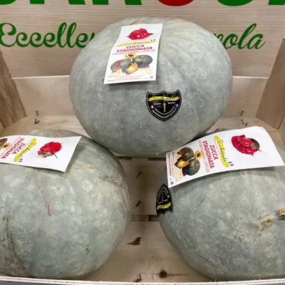 zucche- vanity-zerbinati-agricoltura