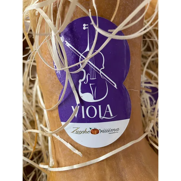 zucca-violina-zuccherissima