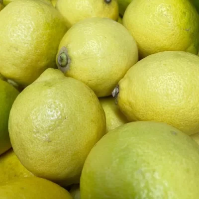 limoni-primofiore