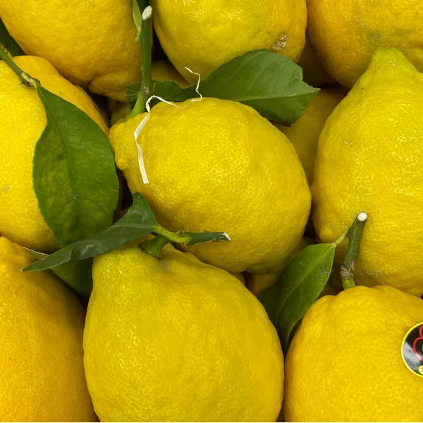 LIMONI-NON-TRATTATI