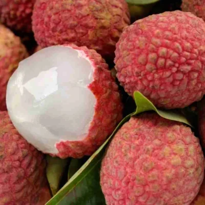 litchis-fresco