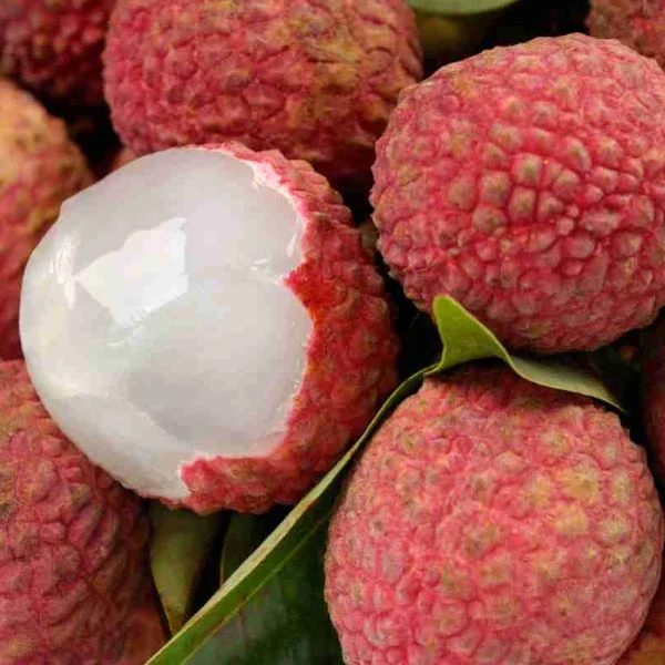 litchis-fresco