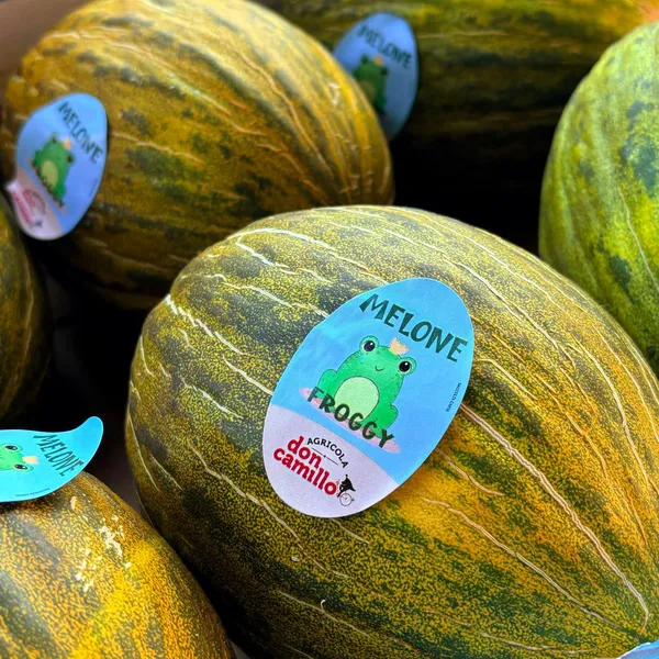 melone-verde-piel-de-sapo