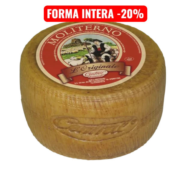 PECORINO-MOLITERNO