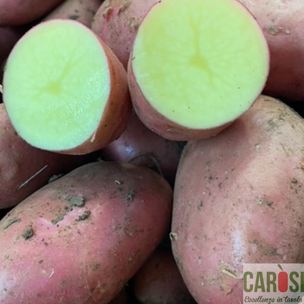 patate-rosse