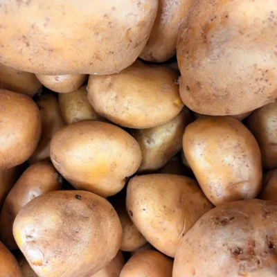 patate-agria