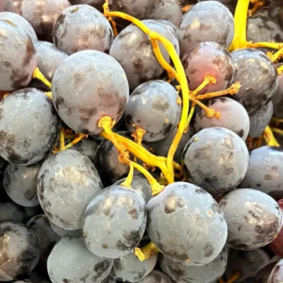 Uva Nera 1 kg