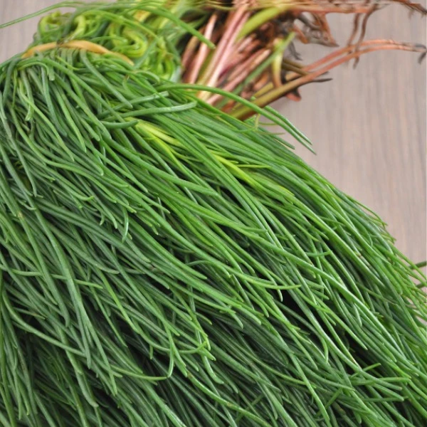 agretti