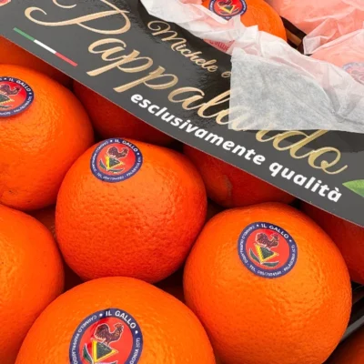 arance-tarocco-6