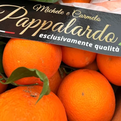 arance-tarocco-foglia