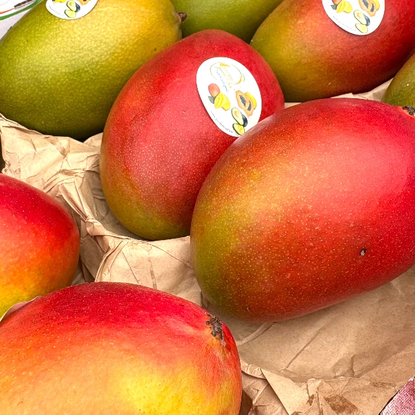 mango