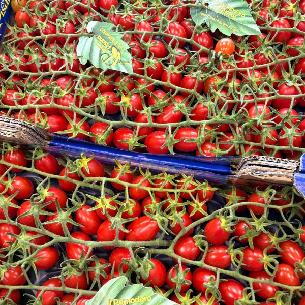 pomodoro-datterino-rosso