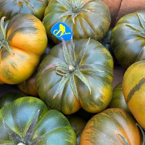 pomodoro-marinda