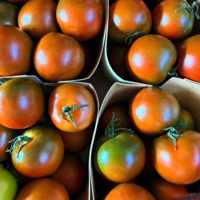 pomodoro_camone
