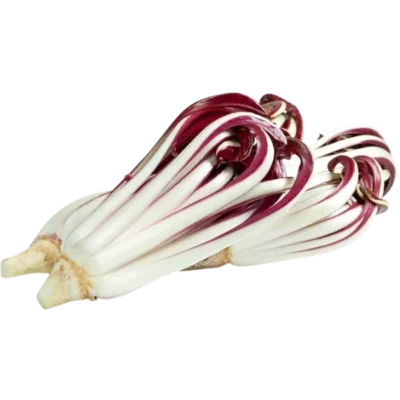radicchio-rosso-treviso