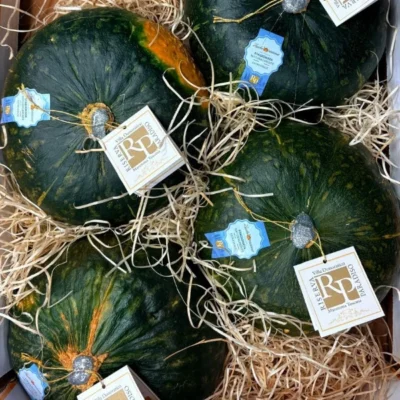 zucca-delica-riserva-paradiso