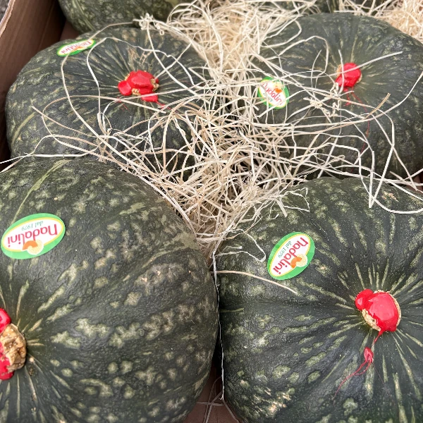 zucca-delica-azienda-agricola-nadalini