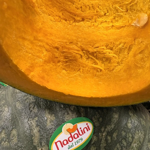 zucca-delica-azienda-agricola-nadalini