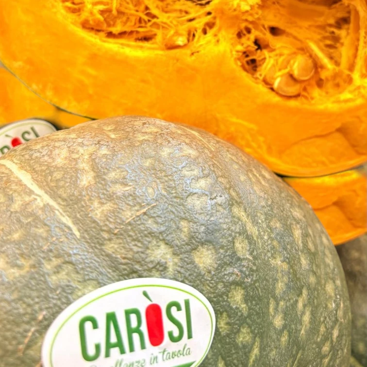 zucca-delica-selezione-carosi